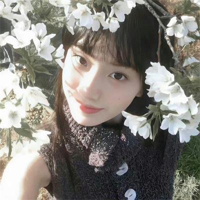 新自杀小队