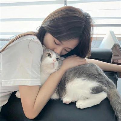 搞姬日常
